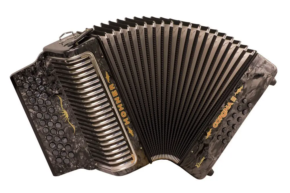 6 Best Accordions For Beginners (2024)