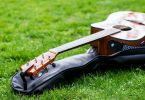 Guitar bag on lawn