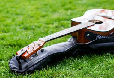 Guitar bag on lawn