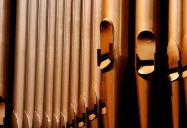 Organ pipes