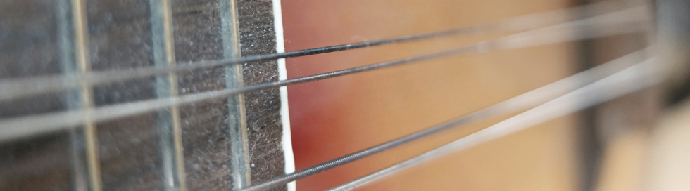 Mandolin Closeup blurred