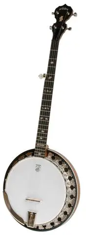 Deering 5-Boston 5-string Banjo