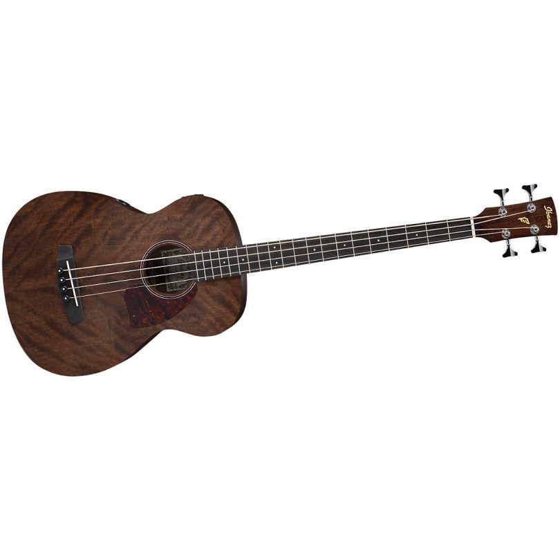 The Best 4 String Acoustic Bass Guitars ⋆ Hear The Music Play 7015