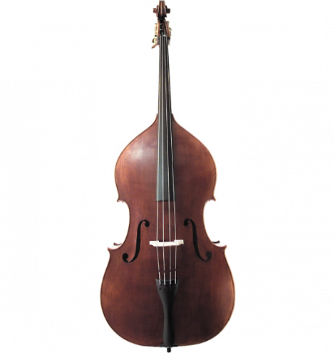 Lucky 7 Best Double Basses in 2022 ⋆ Hear the Music Play