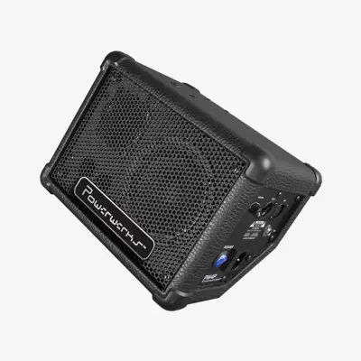 best stage monitors for vocals