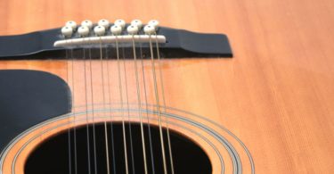 12-String Guitar