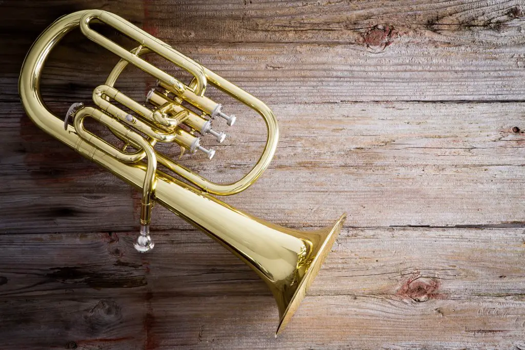 Best Of Both Worlds: The Baritone Horn Buying Guide ⋆ Hear The Music Play