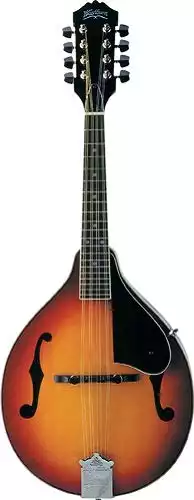 Washburn 8-String Mandolin M1S-A