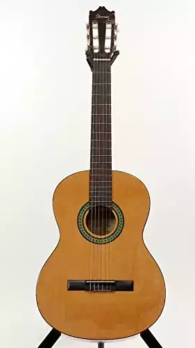 Ibanez GA3 6 String
